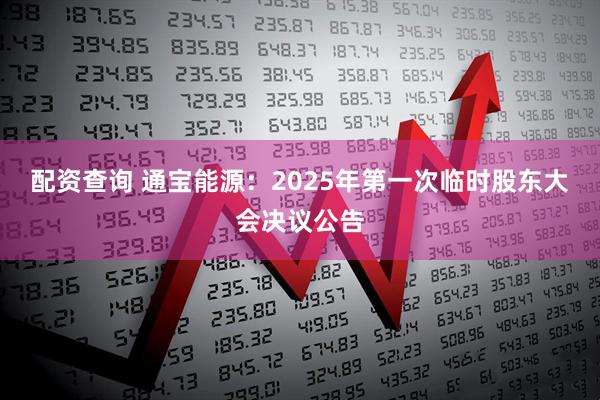 配资查询 通宝能源：2025年第一次临时股东大会决议公告