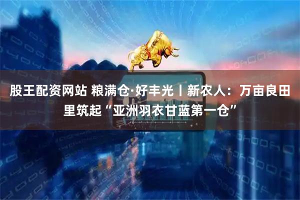 股王配资网站 粮满仓·好丰光丨新农人：万亩良田里筑起“亚洲羽衣甘蓝第一仓”
