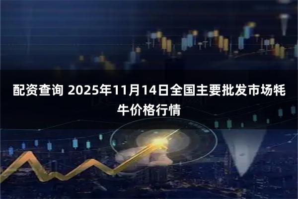 配资查询 2025年11月14日全国主要批发市场牦牛价格行情