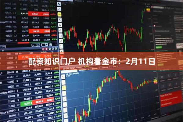 配资知识门户 机构看金市：2月11日