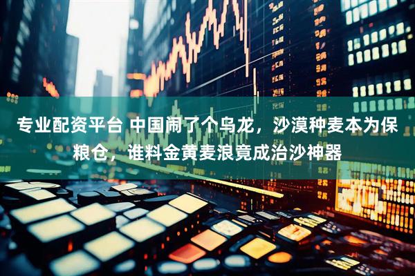 专业配资平台 中国闹了个乌龙，沙漠种麦本为保粮仓，谁料金黄麦浪竟成治沙神器
