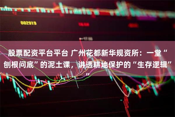 股票配资平台平台 广州花都新华规资所：一堂“刨根问底”的泥土课，讲透耕地保护的“生存逻辑”